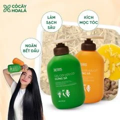 dầu gội xả gừng sả thảo dược kiềm dầu cho tóc